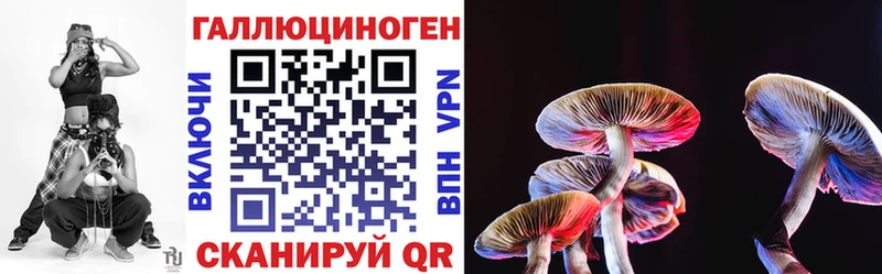 продажа наркотиков  Зеленокумск  Галлюциногенные грибы Cubensis 